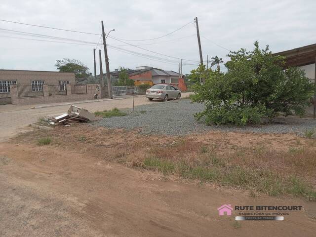 Área para Venda em Balneário Barra do Sul - 4