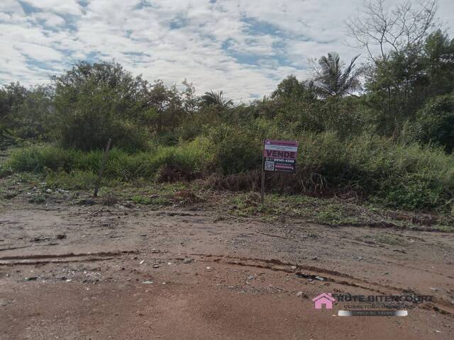 Área para Venda em Araquari - 4