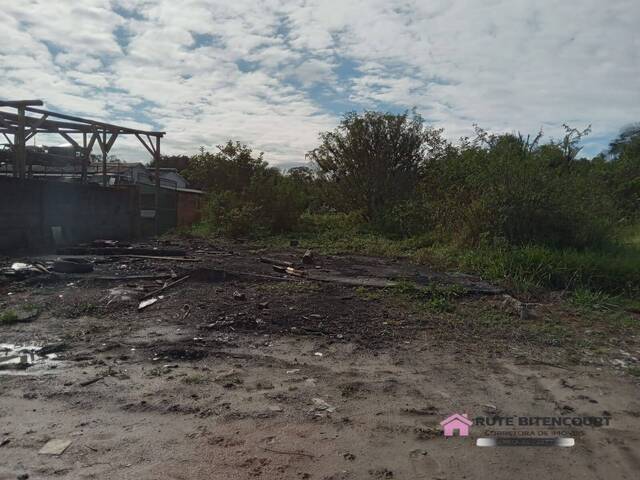 #19 - Área para Venda em Araquari - SC - 1