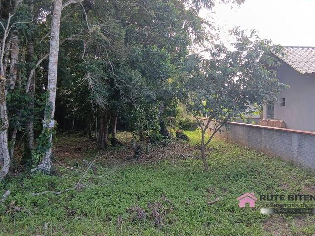 #21 - Área para Venda em Balneário Barra do Sul - SC - 1
