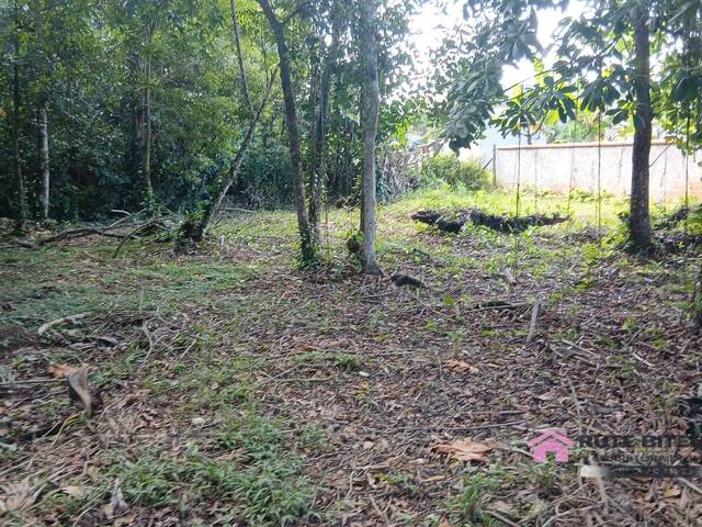 #21 - Área para Venda em Balneário Barra do Sul - SC - 2
