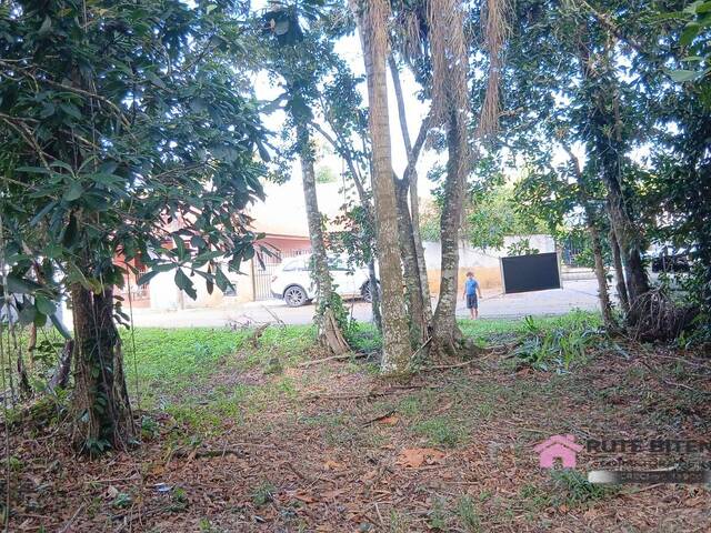 #21 - Área para Venda em Balneário Barra do Sul - SC - 3