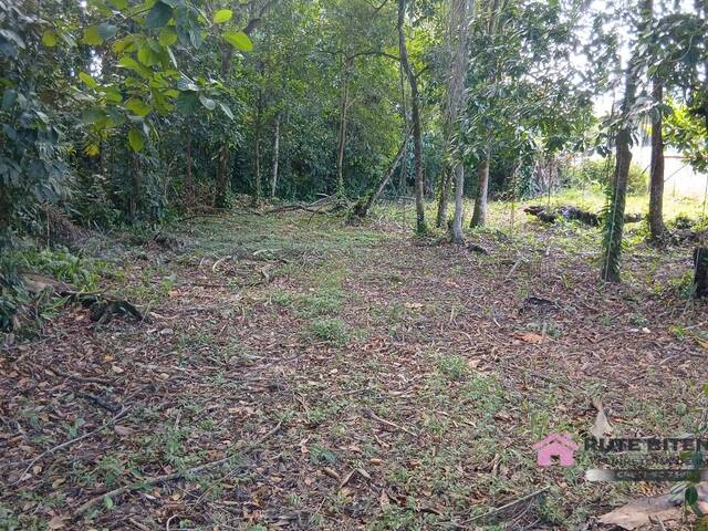 Área para Venda em Balneário Barra do Sul - 4