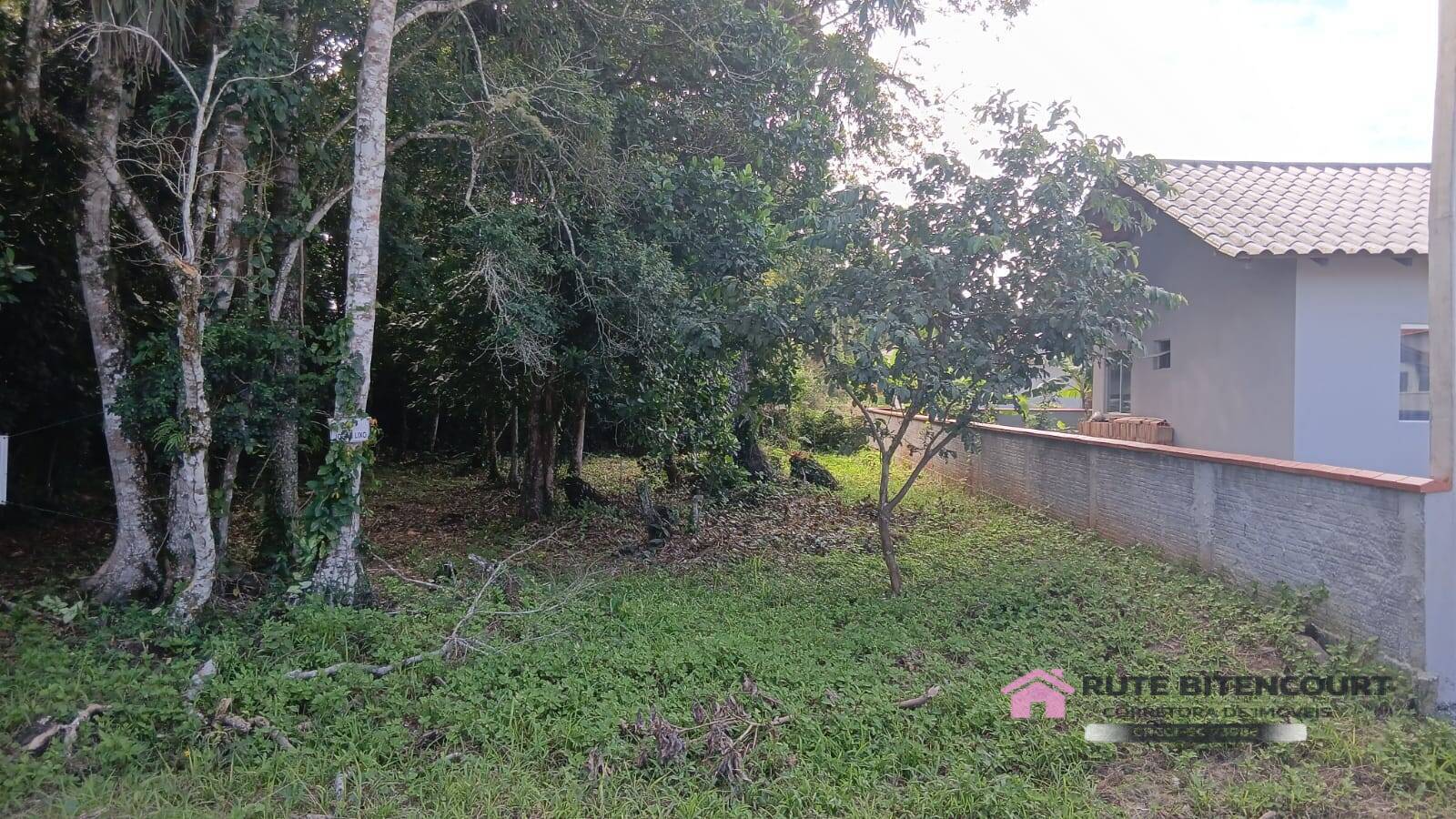 Terreno - Foto 1
