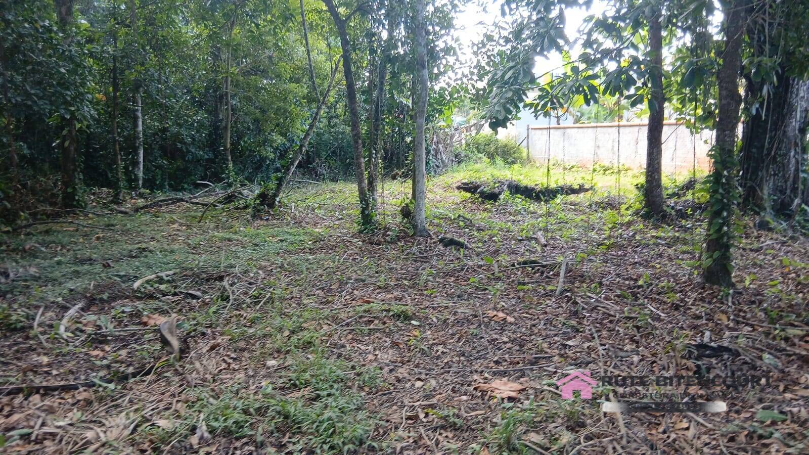 Terreno - Foto 2