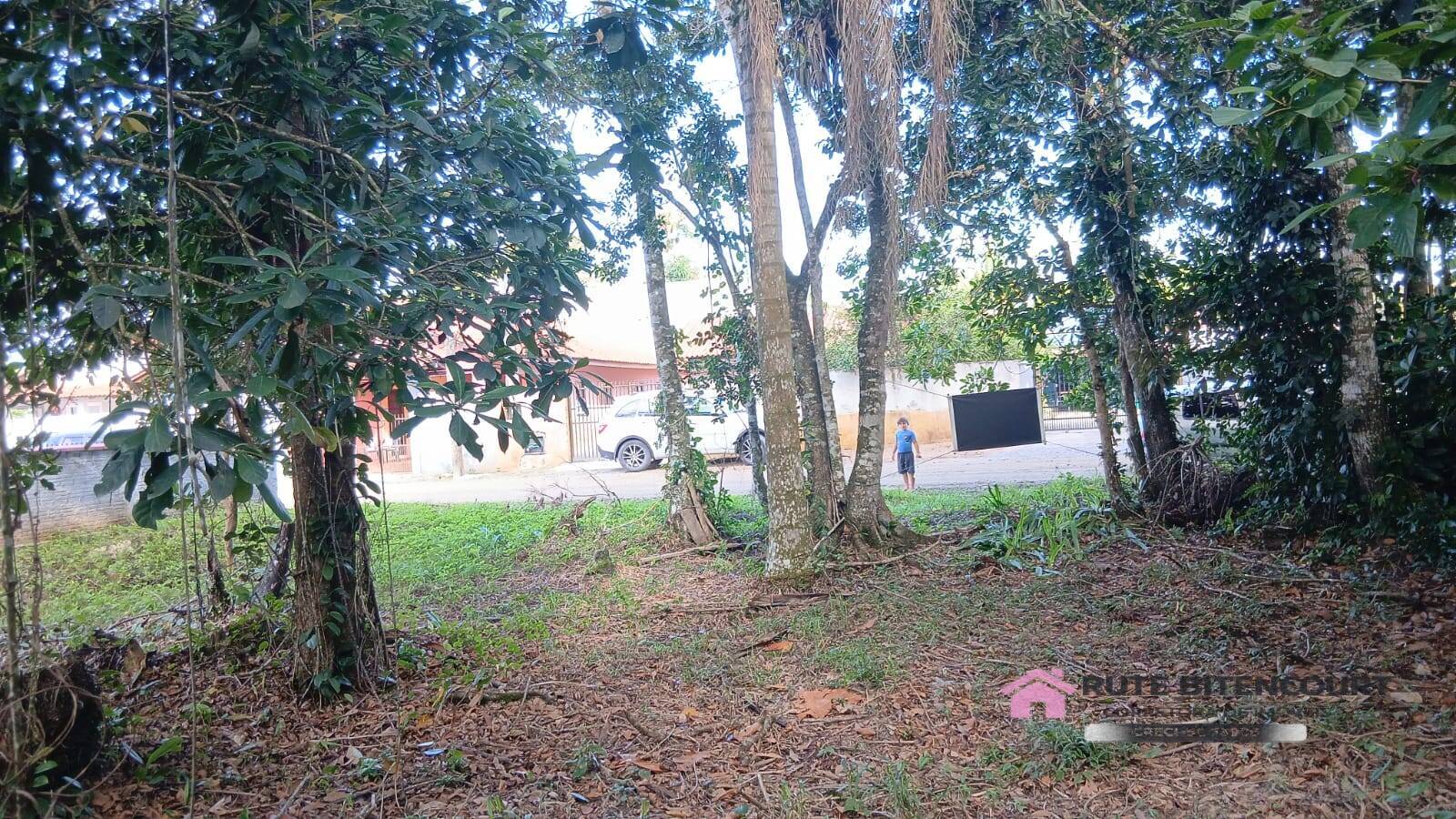 Terreno - Foto 3