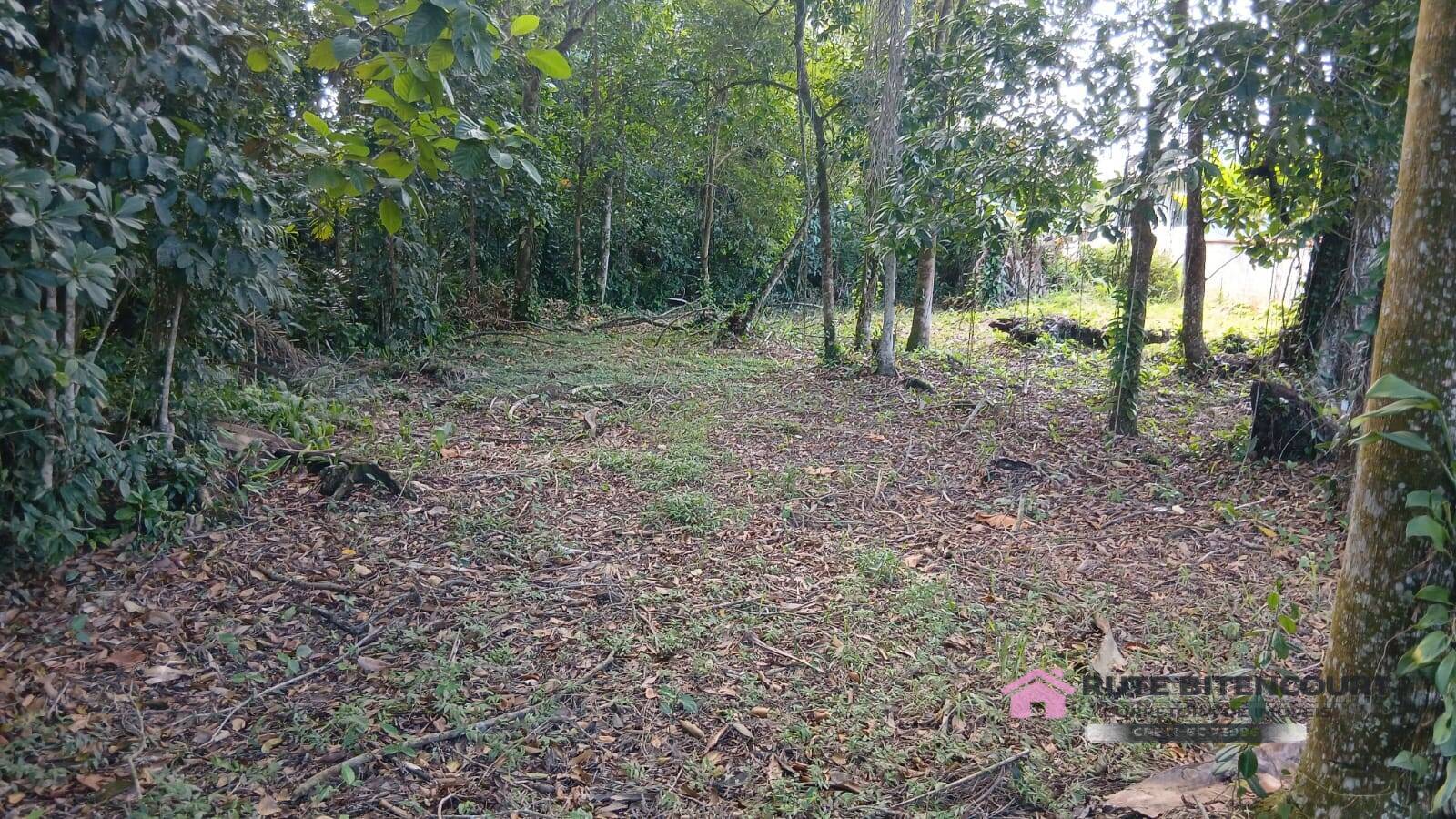 Terreno - Foto 4